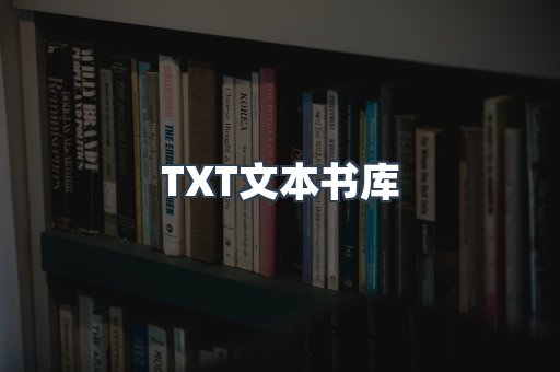 TXT文本书库